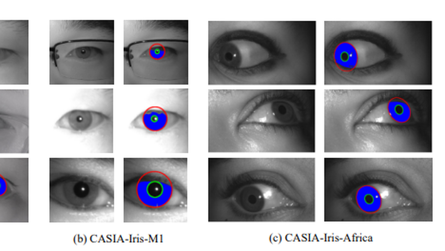 NIR Iris Challenge Evaluation in Non-cooperative Environments: Segmentation and Localization