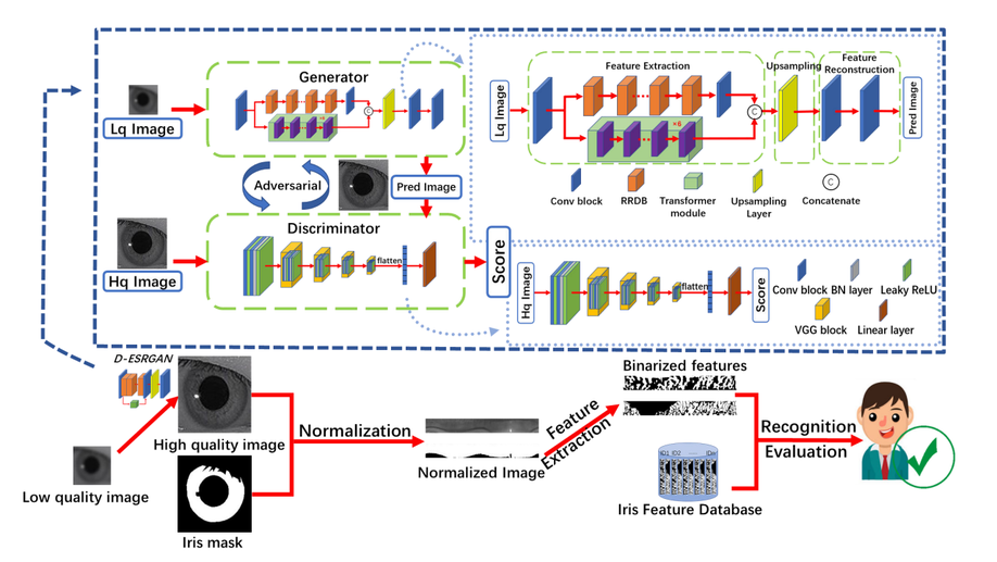 D-ESRGAN: A Dual-Encoder GAN with Residual CNN and Vision Transformer for Iris Image Super-Resolution