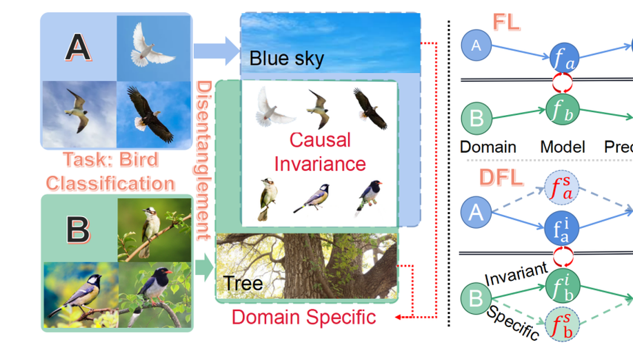 Disentangled Federated Learning for Tackling Attributes Skew via Invariant Aggregation and Diversity Transferring