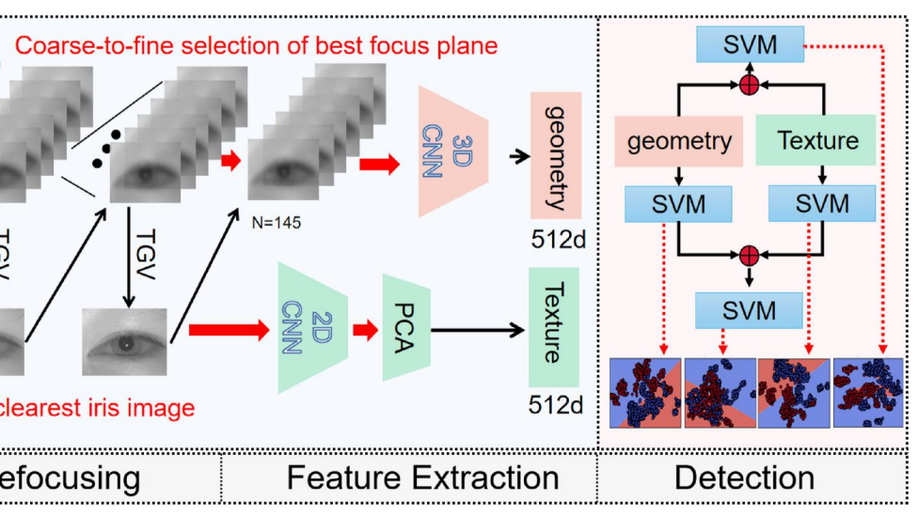 Combining 2D texture and 3D geometry features for Reliable iris presentation attack detection using light field focal stack