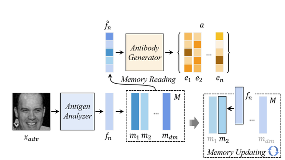 Artificial Immune System of Secure Face Recognition Against Adversarial Attacks