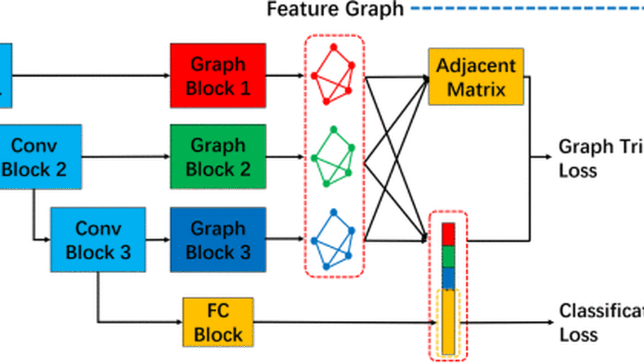 Multiscale Dynamic Graph Representation for Biometric Recognition with Occlusions