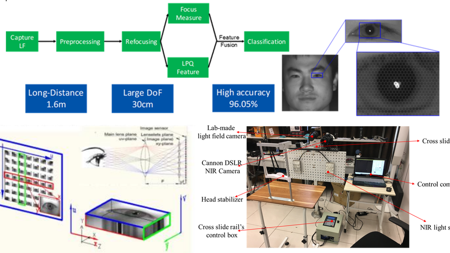 Iris Liveness Detection Based on Light Field Imaging