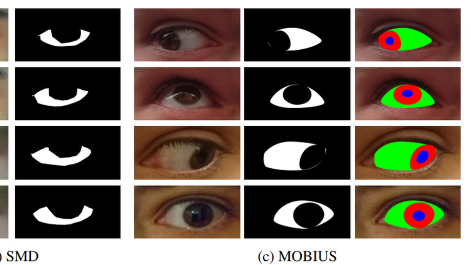 SSBC 2020: Sclera Segmentation Benchmarking Competition in the Mobile Environment