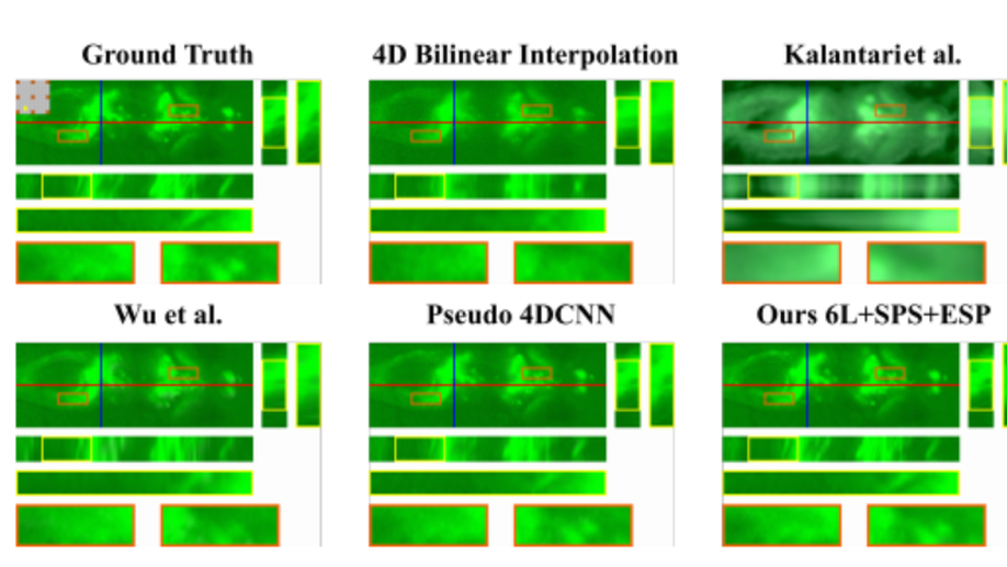 High-fidelity View Synthesis for Light Field Imaging with Extended Pseudo 4DCNN