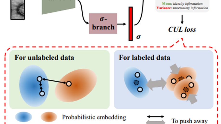 Contrastive Uncertainty Learning for Iris Recognition with Insufficient Labeled Samples