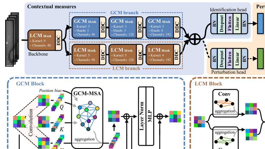 Contextual Measures for Iris Recognition