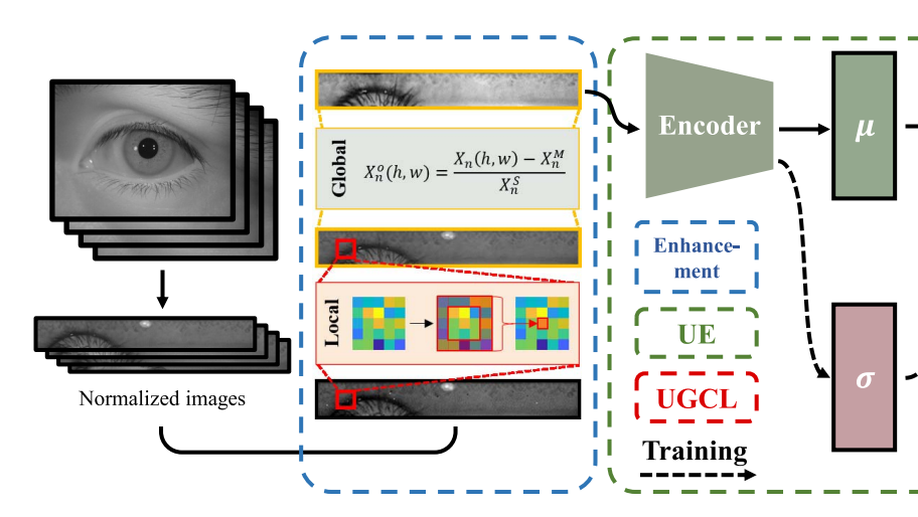 Towards More Discriminative and Robust Iris Recognition by Learning Uncertain Factors