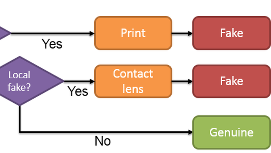 Hierarchical Multi-class Iris Classification for Liveness Detection